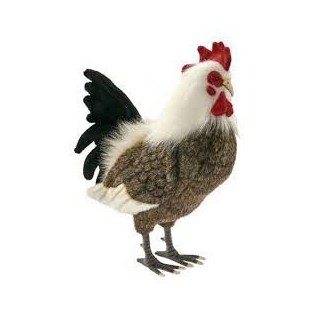 coq en peluche