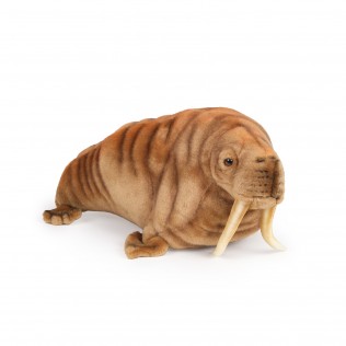 morse en peluche