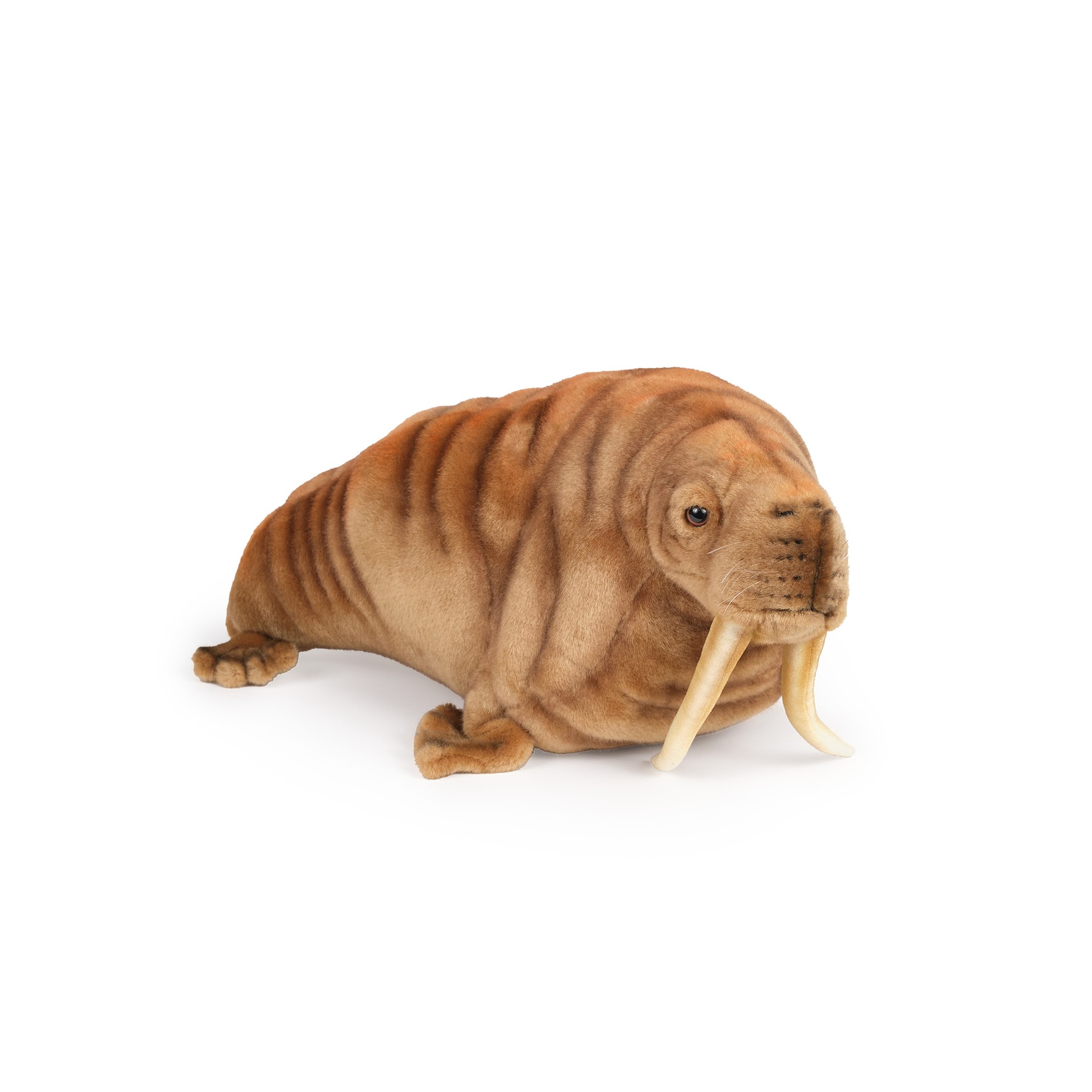 morse en peluche