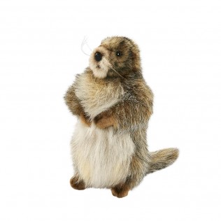Marmotte, peluche