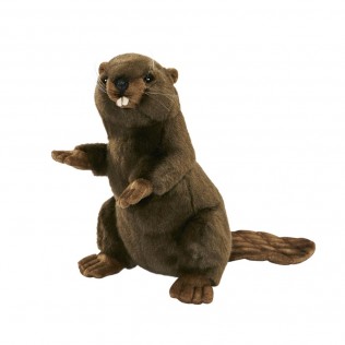 Castor, peluche
