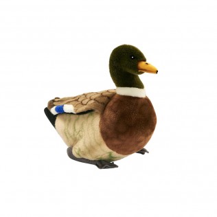 Canard, peluche