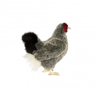 Poule, peluche