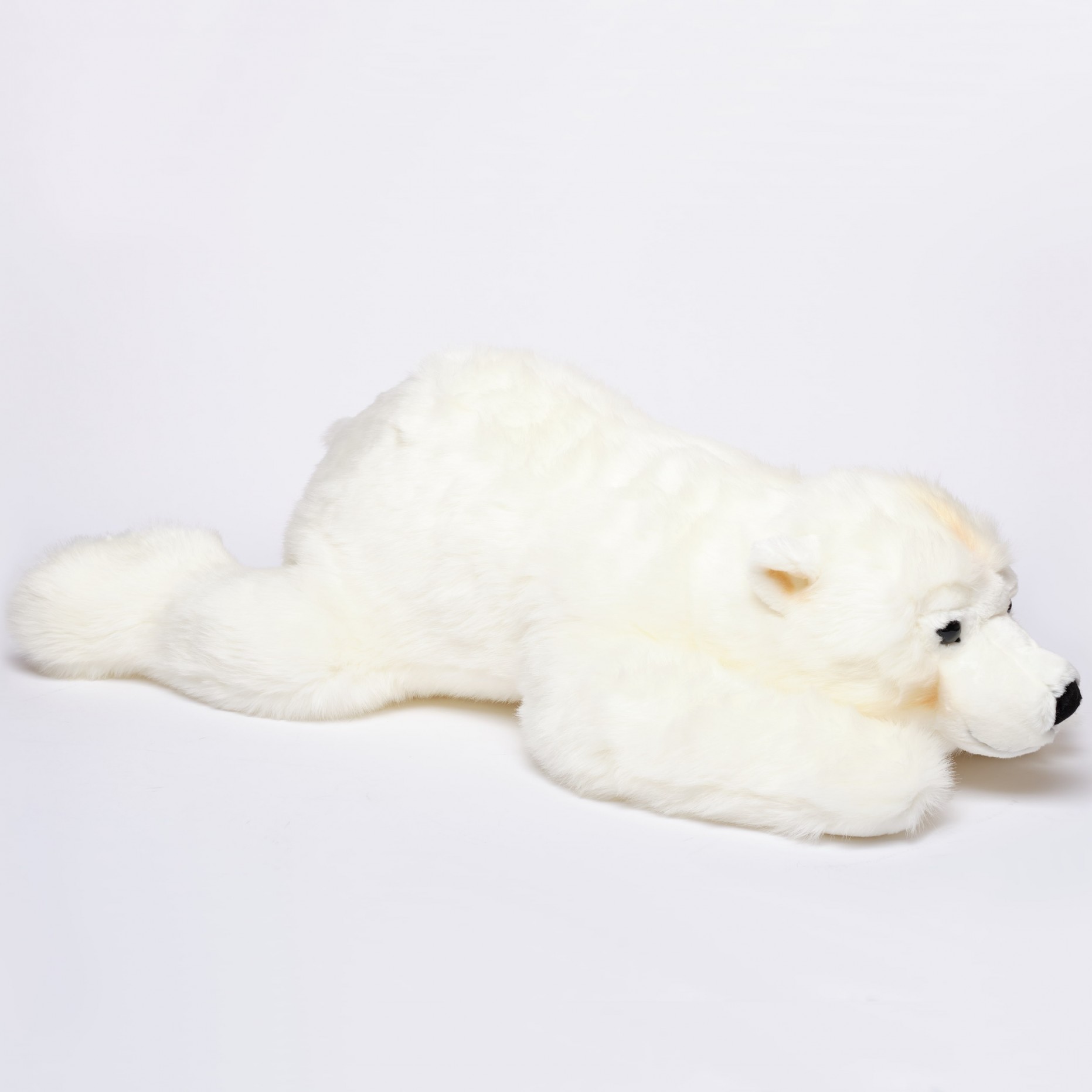 ours polaire en peluche