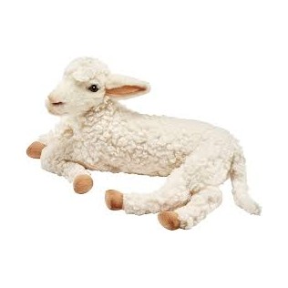 Agneau