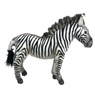 zebre