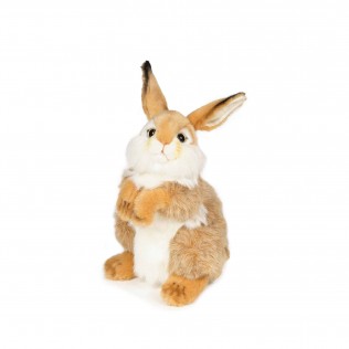 peluche lapin