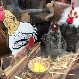 Nos poules et poulets bien installés en vitrine 🐣🐔🐓 ! 
Retrouvez toutes nos peluches originales en boutique, située 14 rue saint Roch 💙

#peluches #pelucheoriginale #peluchedecorative #pelucheaunainbleu #animauxenpeluche #pâques2022 #aunainbleuofficiel
