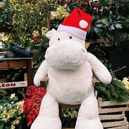 Grand hippo rigolo, blanc comme la neige ! Laissez-vous séduire par sa douceur ✨🎁🎅🏻

#aunainbleuofficiel #boutiquedejouets #cadeaunoel #peluche #jouetenbois